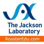 Postdoctoral Fellowships at Jackson Laboratory