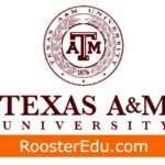 Postdoctoral Fellowships at Texas A&M University