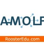 Fully Funded PhD Programs at AMOLF